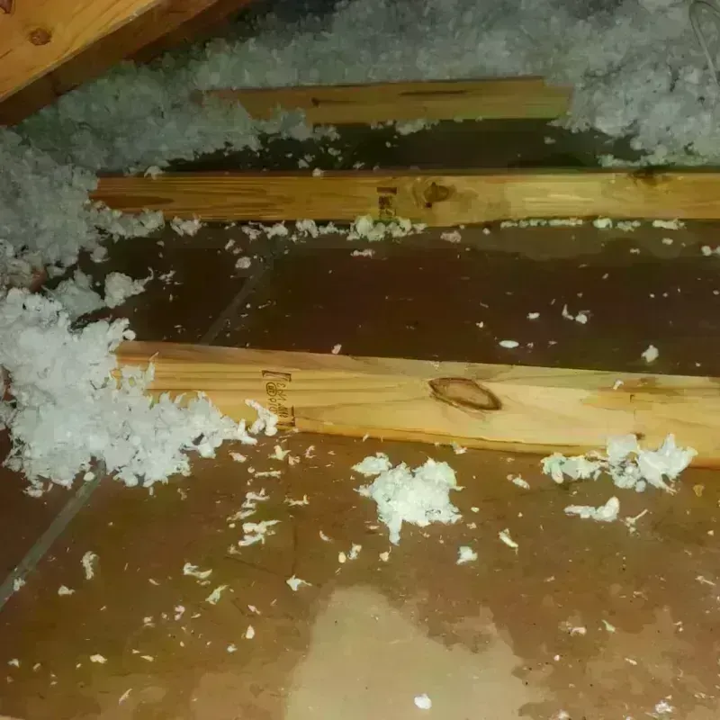 Attic Water Damage in Lincoln County, MO